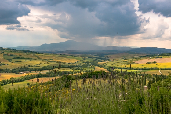 Pienza and Montalcino, a Beautiful itinerary through Southern Tuscany